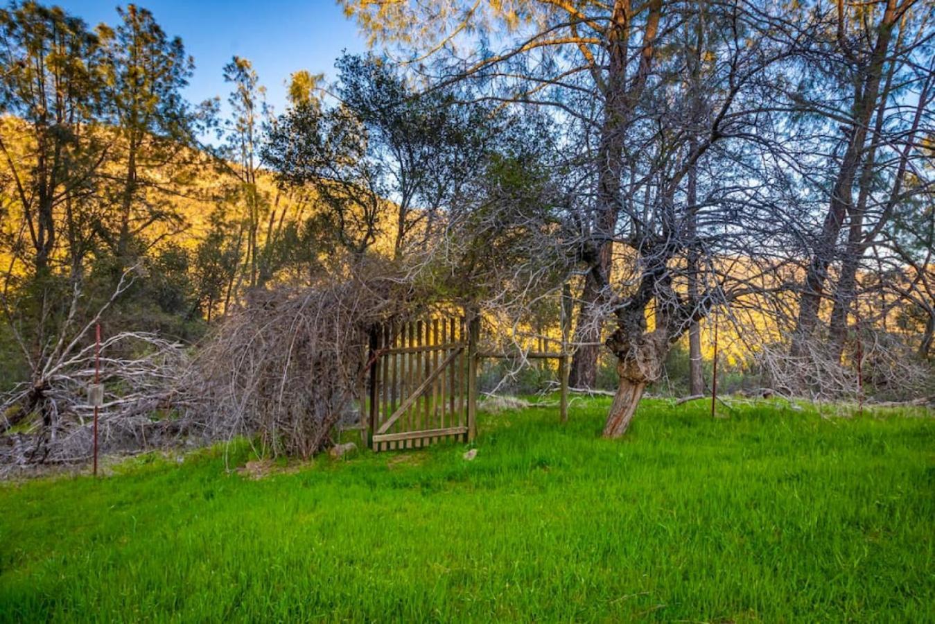 Sierra Vista Lookout Lodge With Creek, Waterfall And Waterholes, Minutes From Bass Lake And Yosemite South Gate North Fork Eksteriør billede