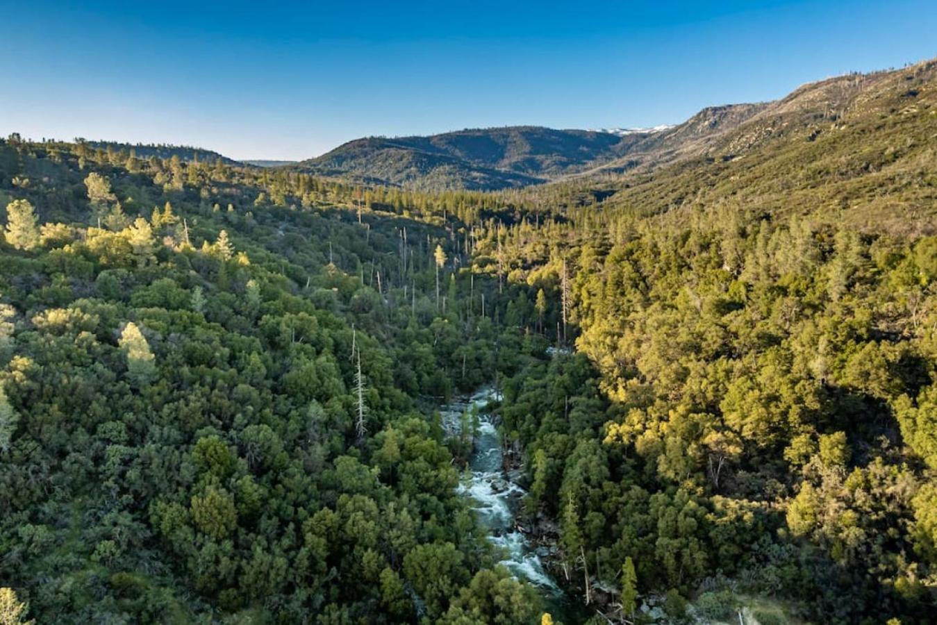 Sierra Vista Lookout Lodge With Creek, Waterfall And Waterholes, Minutes From Bass Lake And Yosemite South Gate North Fork Eksteriør billede